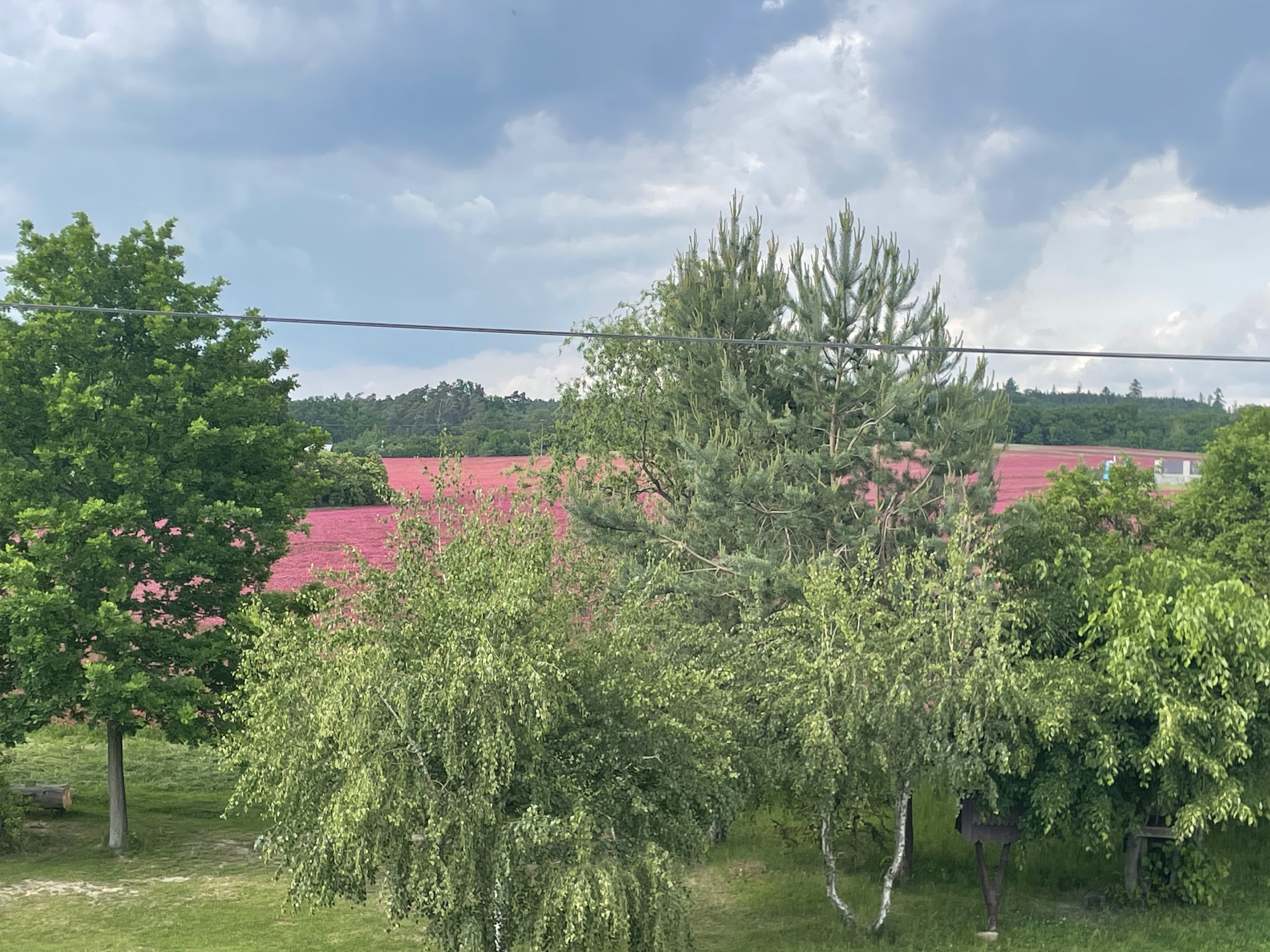 Fotografie nemovitosti